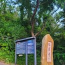 복천사 독성도 및 복장유물 일괄 이미지