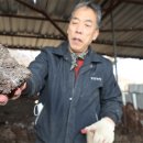 금탑농장 이미지