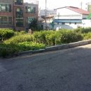 평화동-09 이미지