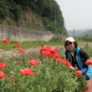 정이농장 이미지