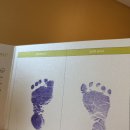 봄빛병원(산후조리원 포함) | 2025년 4월, 봄빛산후조리원 1관 후기 :: 병원연계의 장점이 집약된 곳(아빠기준으로적어봄)