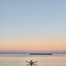 공룡주유소 | 돌 전 아기랑 오키나와 여행(2일차, 만좌모, 파인애플농장, 츄라우미 수족관, 거리)