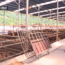 조령농장 이미지