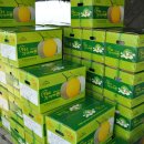 가정1-02-011 이미지