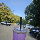 피터펫카페 일산점 | 일산 대형 애견카페 추천 운동장이 있는 피터 펫츠