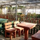 허브농원 이미지