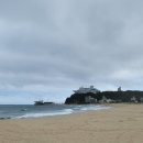 다미가든 이미지