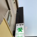 파리바게뜨아시아선수촌점 | 송파꽃집 <오데썽플라워> 유칼립투스 화병꽂이 구매한 후기~