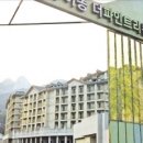 파인트리리조트 이미지