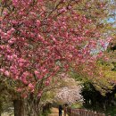 바로만든족발 진평점 | 경주 유적지 추천 진평왕릉 피크닉 명활성 주차장