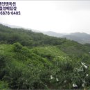 질가마골 이미지