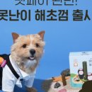 (주)다정한마켓 이미지