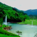 에이원 CC 이미지