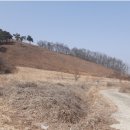 신니면사무소 이미지