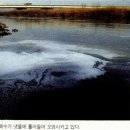 폐수처리 wastewater treatment 이미지