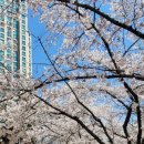 중앙로열길 이미지