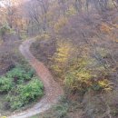 천곡사 계곡 이미지