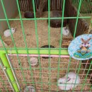 환희목장 이미지