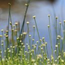 곡정초등학교 이미지