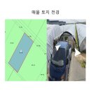 추사고택 진입로 이미지