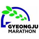 그냥 심심해서요. (24839) 2023 경주국제마라톤 내일 개최 이미지
