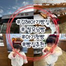 진영유치원 | 김해 진영 비건쌀빵집 '읍내빵집' 아기쌀식빵 아기모닝빵 구매후기!