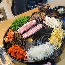 산적 통갈매기 세종점
