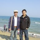 해운대 Daum카페