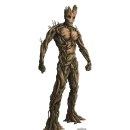 Guardians of the Galaxy Groot with Rocket Raccoon #38341 [1/9 DML MADE IN CHINA] PT1 이미지