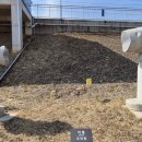 부곡지석묘 이미지