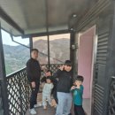 힐링랜드 | 홍천 알파카랜드 가족여행 후기! 최고의 힐링 스팟💕