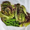 용동농장 이미지