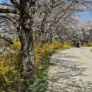 순성농협 하나로마트 이미지