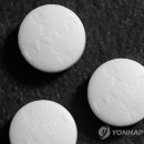 저단26 이미지