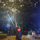 브리즈번 102 이미지