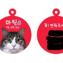 아르릉 이미지