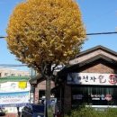천자물회 - 포항시 남구 호미로 215-2 | 천자물회