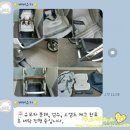 베베유카 이미지