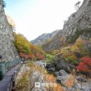 명일민박 이미지