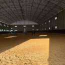 부산국제승마장 이미지