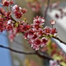 배화학교 이미지