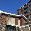 413 | [서울/강남] 카페413프로젝트 역삼 주말 브런치 후기