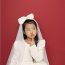 위드유애견 | 울산 아기 스튜디오 그루브위드유 셀프 촬영