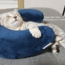 더개 이미지