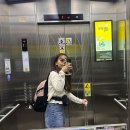 로코코안경 | 인천 다낭 국제공항 에어서울 비상구 좌석 지연 후기 제1터미널 면세점 젠틀몬스터 로코코