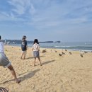 만리포해수욕장 Daum카페