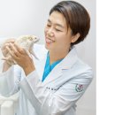 서울샤인 동물병원 이미지