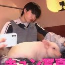 위시투어