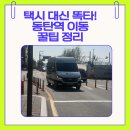 동탄역(서측) | 경기도 공공버스 똑타, 동탄역에서 이용 후기와 방법