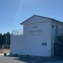 미동목장 | 제주 아이랑 가볼맛한곳 서귀포 승마체험 목장카페 밭디